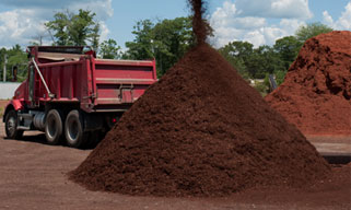 mulch photo